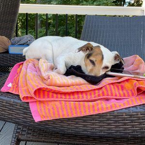 Meet your Posher, Jack